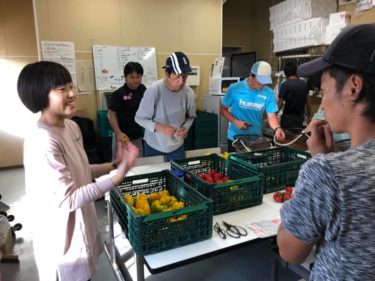 新潟県刈羽村「砂丘地農業の再生体験ツアー」に環境システム学科3年のKさんが参加
